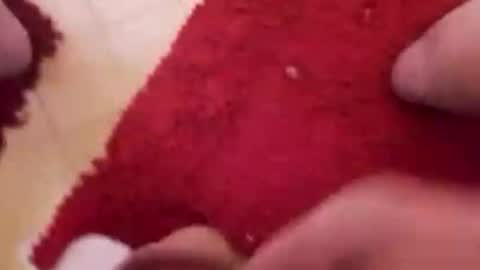 BookWriter online show from September 21, 5:51 am