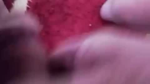 BookWriter online show from February 26, 6:15 am