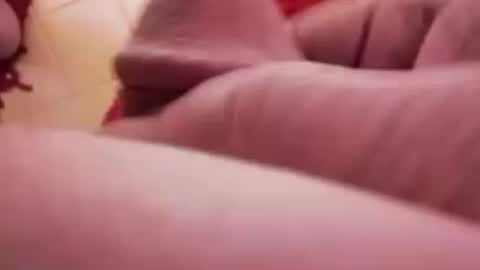 BookWriter online show from January 27, 6:41 am