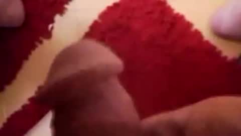 BookWriter online show from December 28, 8:16 am