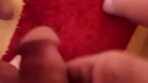 BookWriter online show from March 12, 5:24 am