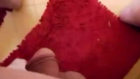 BookWriter online show from January 18, 7:04 am