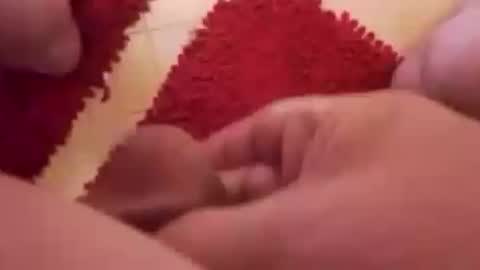 BookWriter online show from December 29, 8:22 am