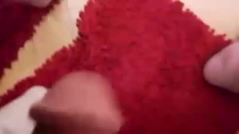 BookWriter online show from March 2, 7:43 am