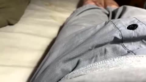 ngianop online show from November 23, 1:11 pm