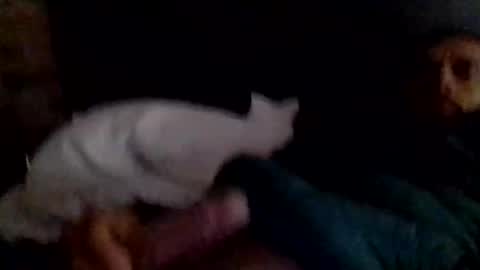 nick vilanova online show from November 16, 2:08 pm