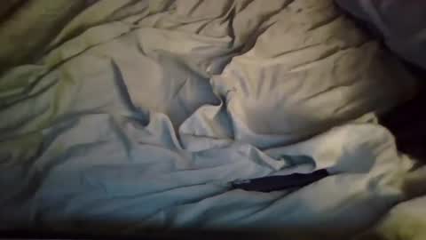 Snapshot of nickanonymous1034 chatting on February 15, 11:50 am Nick online show from February 15, 11:50 am