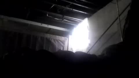 nillapuddin2 online show from February 2, 2:24 pm