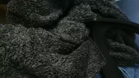 nineinchhard online show from February 10, 11:04 am