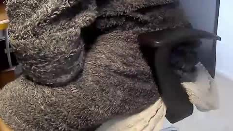 nineinchhard online show from December 4, 9:07 am