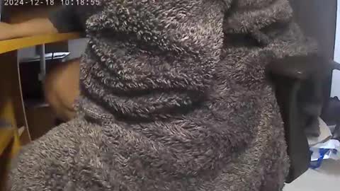 nineinchhard online show from December 18, 10:19 am