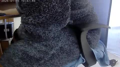 nineinchhard online show from January 15, 10:38 am