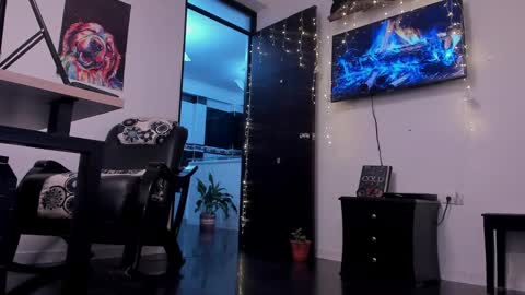 Snapshot of noahbrawn chatting on January 21, 12:13 pm LIAM- noah online show from January 21, 12:13 pm