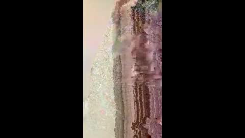 notmedesigned online show from March 17, 9:34 am