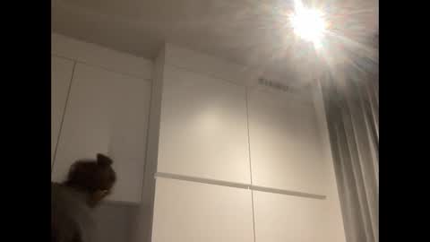 notthatkindofguy6666 online show from December 29, 3:22 am