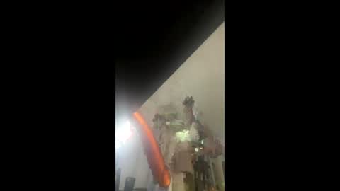 Kira online show from December 14, 11:17 am