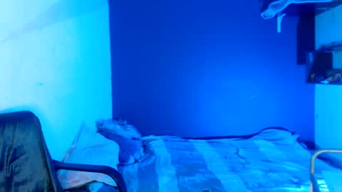 oliver_laid_2023 online show from March 9, 11:36 am