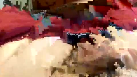 Snapshot of oreoworld chatting on December 30, 7:21 pm Super Soaker Oreo World online show from December 30, 7:21 pm