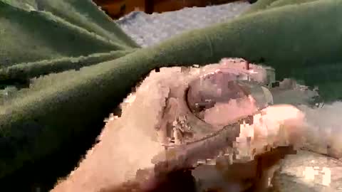 Snapshot of oreoworld chatting on December 22, 10:15 pm Super Soaker Oreo World online show from December 22, 10:15 pm