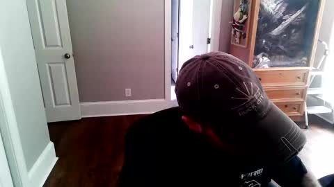 college beef online show from June 8, 3:24 pm