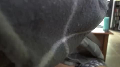 tato online show from March 1, 8:03 am