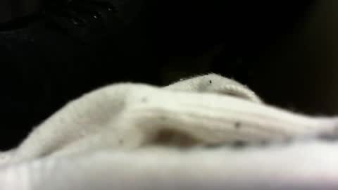 Snapshot of pablomenesssl chatting on February 12, 10:15 pm Pablo Meness online show from February 12, 10:15 pm