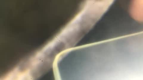 pablowablo online show from September 23, 3:17 am