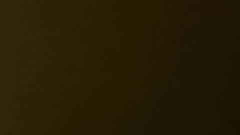 palerider269 online show from November 19, 7:36 pm