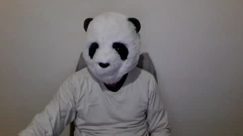 Panda online show from December 6, 7:01 pm