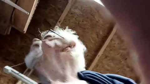 papajb70 online show from December 10, 2:35 am