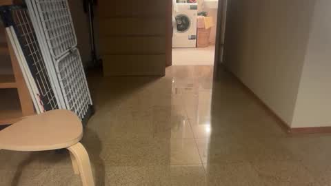 pas43 online show from November 15, 3:30 am