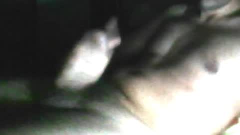 Paulo Oliveira online show from February 8, 3:34 am