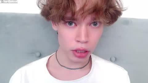 pawclaw online show from February 10, 11:31 pm