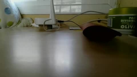 perales_12345 online show from January 18, 3:58 pm