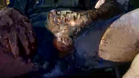 Snapshot of pete_jones93 chatting on November 2, 11:47 am mynameisguyyy online show from November 2, 11:47 am