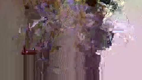 petitechannel online show from March 2, 2:58 pm