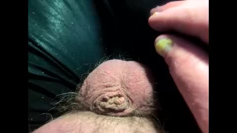 petrol63102 online show from April 7, 6:30 pm