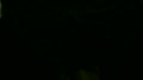 pgls online show from January 15, 6:51 pm