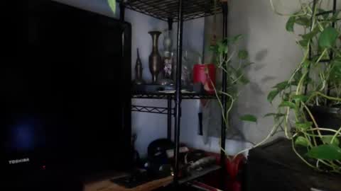 Snapshot of pict8kr chatting on January 23, 1:51 am BEDBULL online show from January 23, 1:51 am