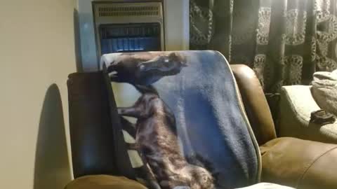 pirate334 online show from February 23, 6:37 am