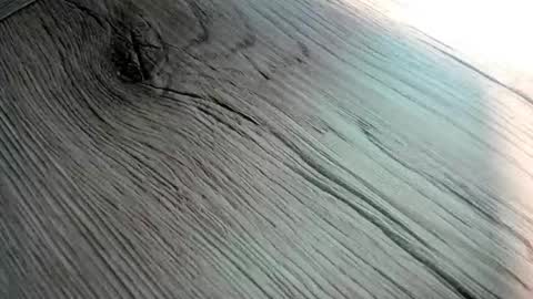 poorsaddest2 online show from September 15, 8:04 am