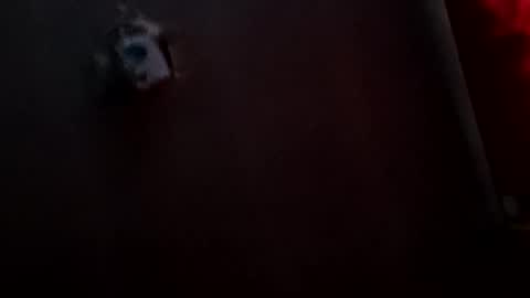 Potro770723 online show from April 2, 10:17 pm