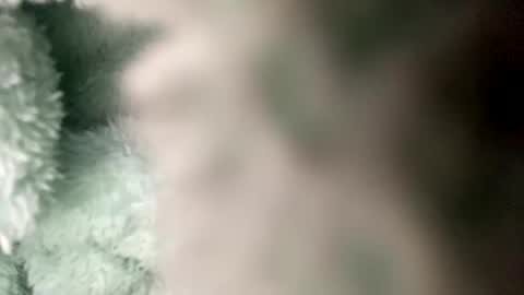 Snapshot of pretty_boy_jack chatting on December 20, 4:31 am pretty_boy_jack online show from December 20, 4:31 am