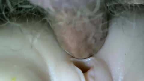 needtocum online show from October 31, 12:01 am