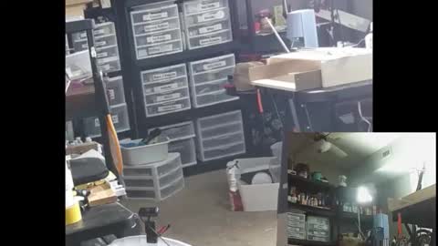 pudgy online show from October 23, 8:34 pm