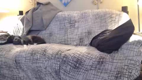 puff0169 online show from February 12, 7:25 am