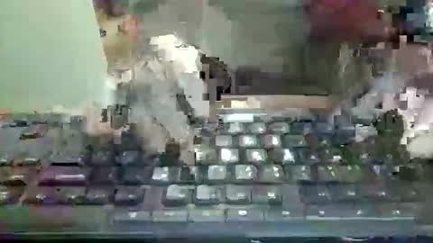 pup_y online show from December 17, 6:25 pm