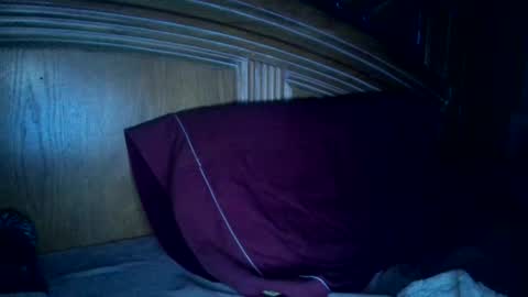 hitman online show from November 16, 6:59 am