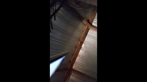 ravenwings5235 online show from December 14, 10:11 am