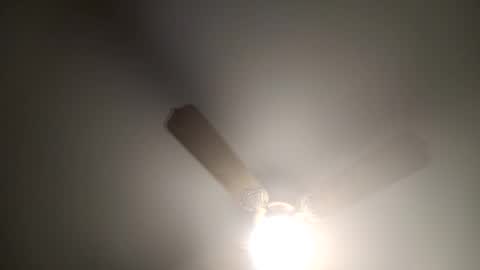 red24devils online show from March 3, 6:35 am